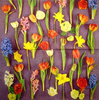 176 Tulips - 3-ply (purple) - Home Fashion